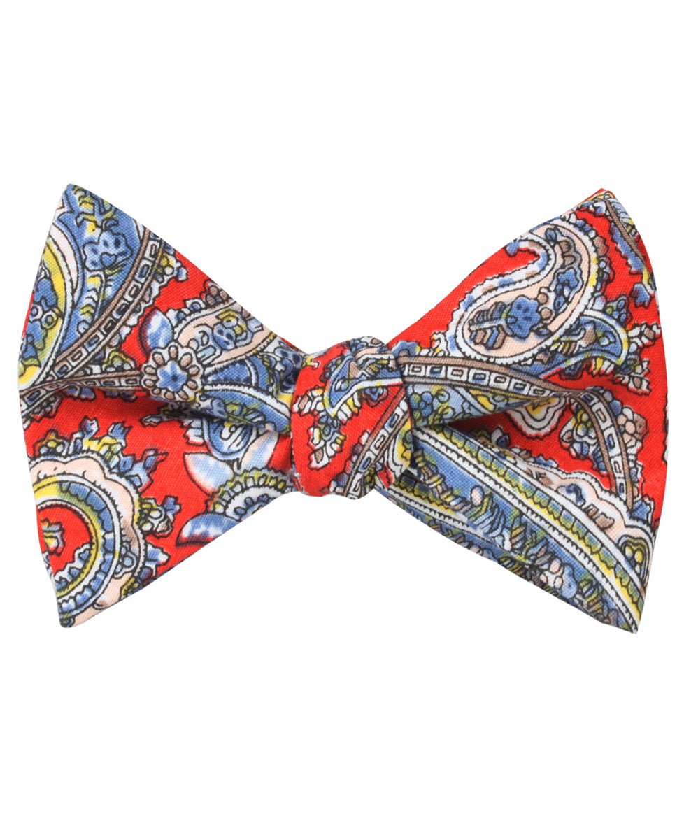 Ulysses Paisley Self Tie Bow Tie