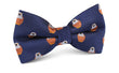 Brown Pigeon Bird Bow Tie