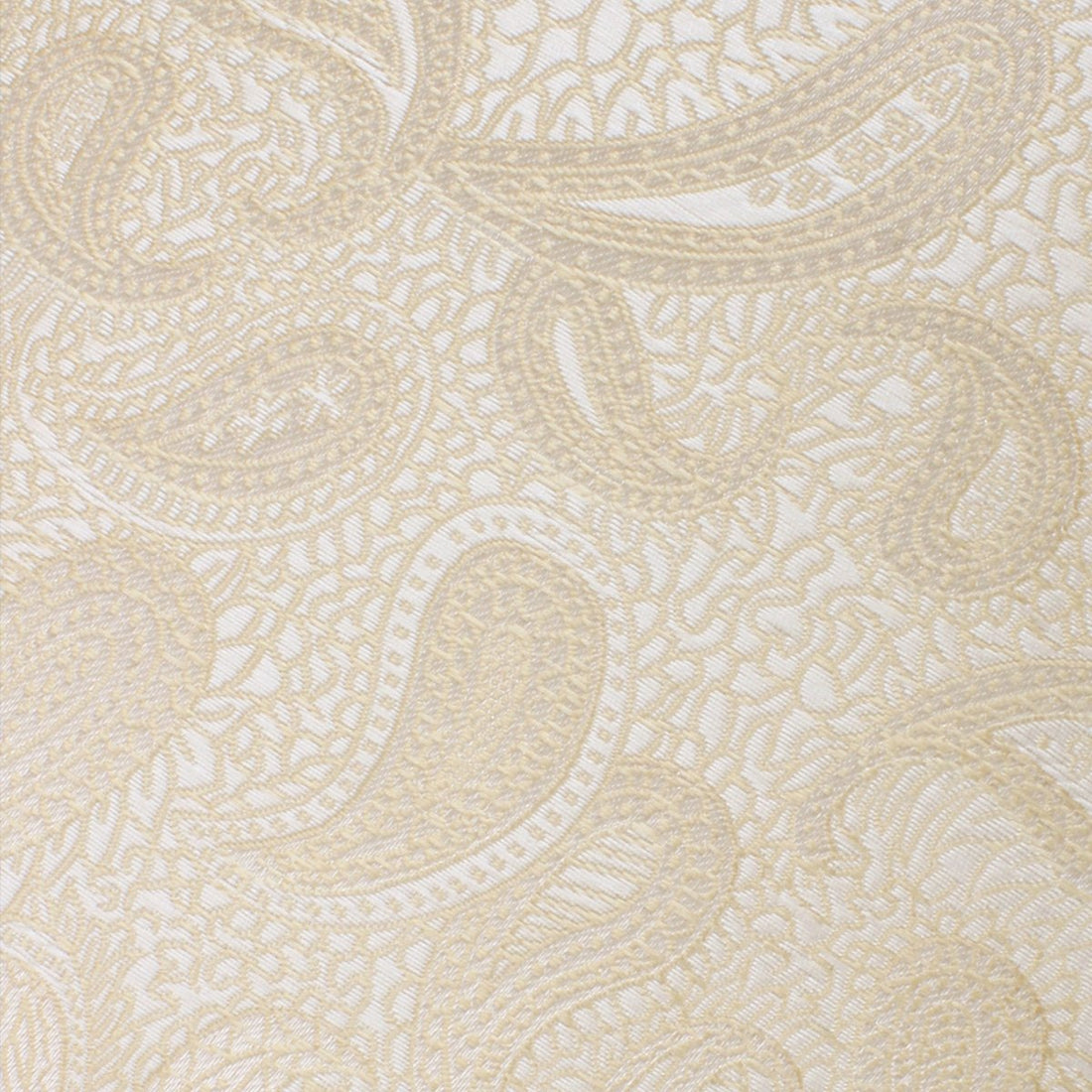 Champagne Desert Paisley Skinny Tie Fabric