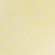 Champagne Polka Dot Bow Tie Fabric