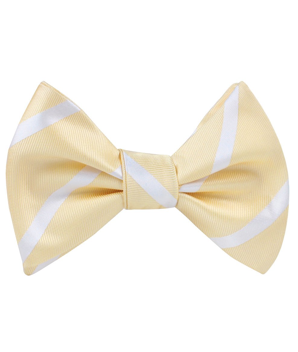 Champagne Stripe Self Tie Bow Tie