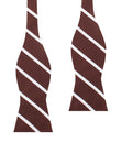 Chocolate Brown Striped Self Bow Tie