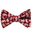 Danielre Red Paisley Self Tie Bow Tie