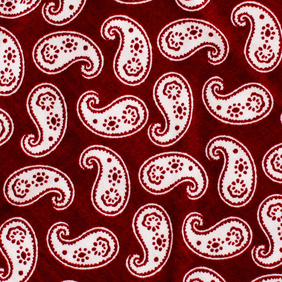 Danielre Red Paisley Skinny Tie Fabric