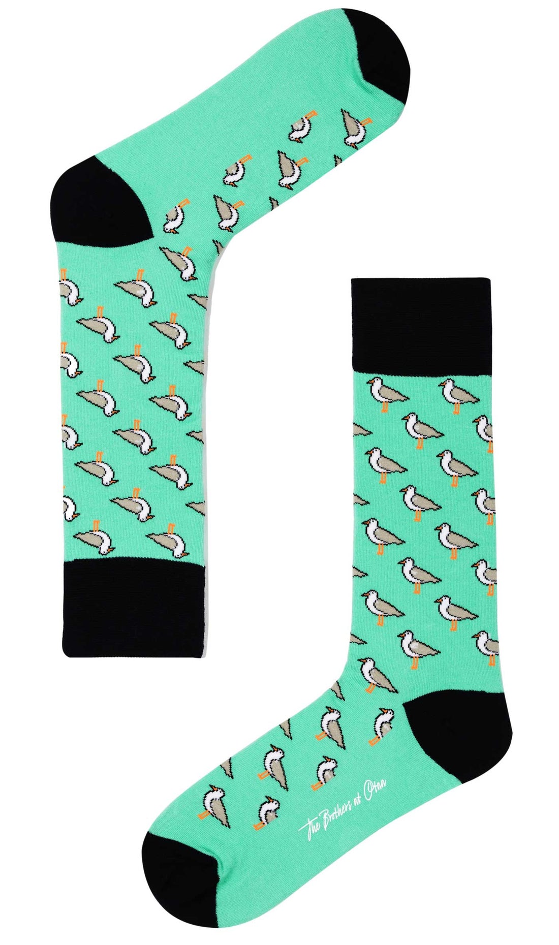 Mint Seagull Socks