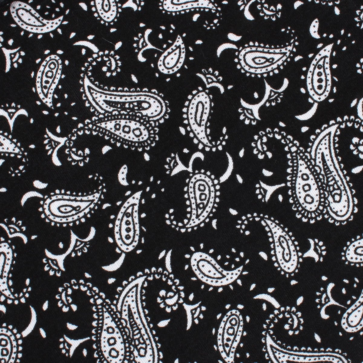 Mr Pollard Black Paisley Bow Tie Fabric