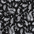 Mr Pollard Black Paisley Skinny Tie Fabric