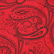 Paisley Red Maroon with Black Tie Fabric