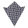 Van Gogh Teardrop Paisley Pocket Square