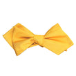 Banana Yellow Self Tie Diamond Tip Bow Tie 3